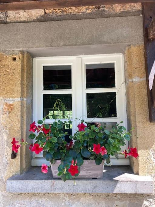 Vakantiehuis La Poire, Op Landgoed Aan De Dordogne Prudhomat Exterior photo